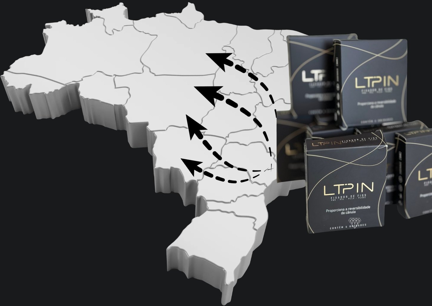 Mapa do Brasil com a distribuição do estoque do LTPin